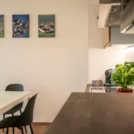 Apartamento Il Canterale - Terra